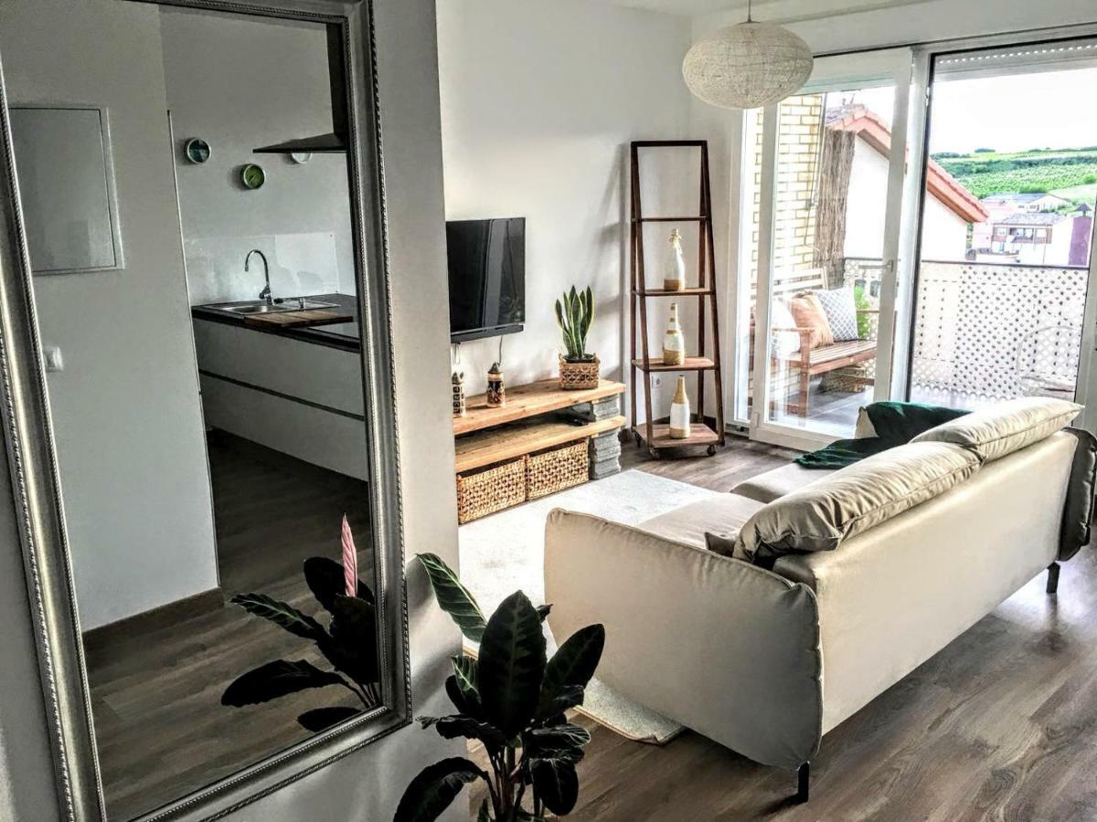 Apartamento Gaztainondoak Lanciego Exterior foto